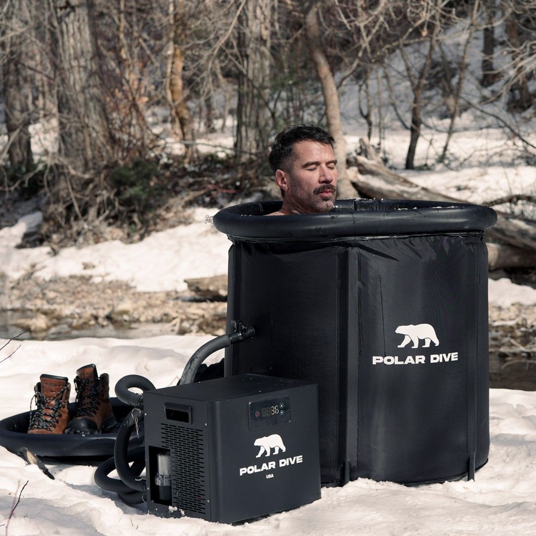 The Polar Dive