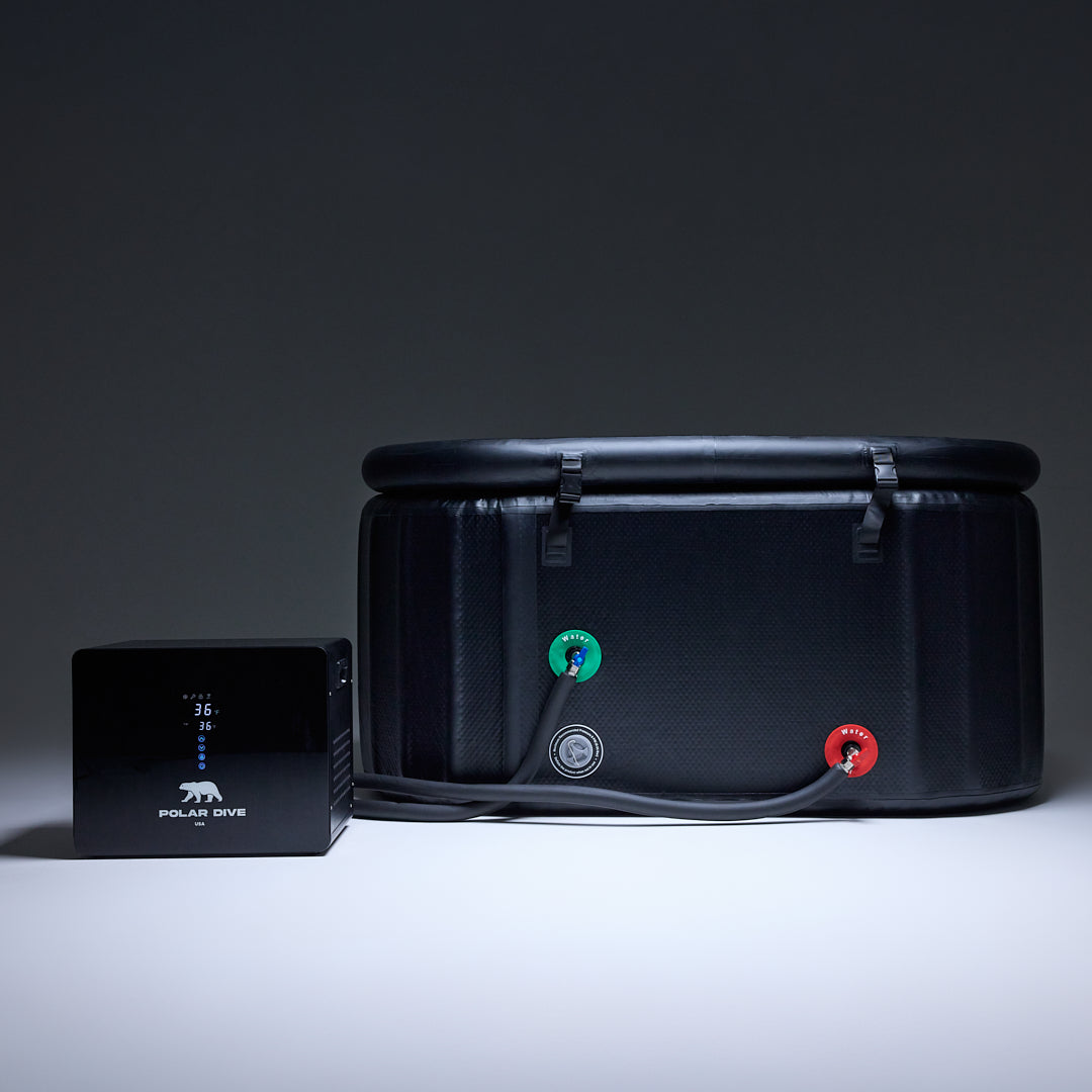 The Polar Dive MAX