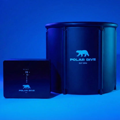 The Polar Dive - Polar Dive USA